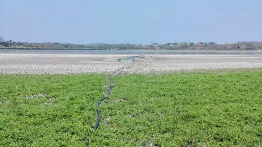 Denuncian sequía histórica en laguna de Veracruz