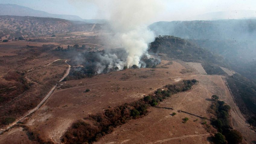 Bosque de la Primavera: ¿Cómo se encuentra el incendio en el ANP de Jalisco a más de 24 horas de llamas? I VIDEO