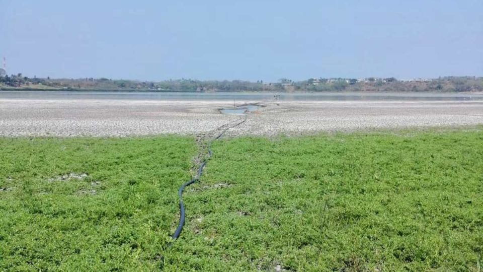 El agua escasea en esta zona