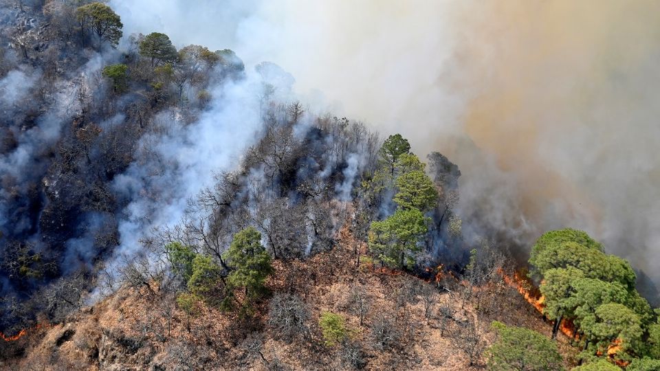 La Sedena ha colaborado contra el fuego; se han descargado 224 mil litros de agua desde tres helicópteros. Foto: Especial