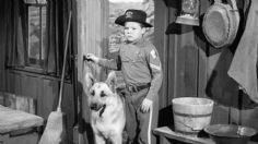 Muere a los 77 años Lee Aaker, estrella infantil de “Rin Tin Tin"; nadie reclama su cuerpo