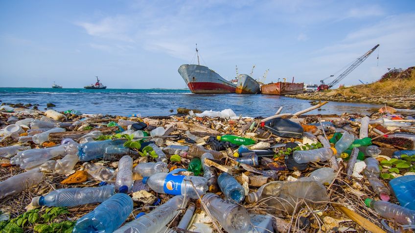 Descubren qué tipo de plásticos son los que más acaban en el mar, ¿usas alguno de ellos?