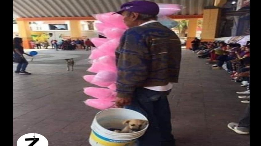 ¡Eso es amor! Vendedor de algodón de azúcar conmueve al llevar a su perrito al trabajo todos los días