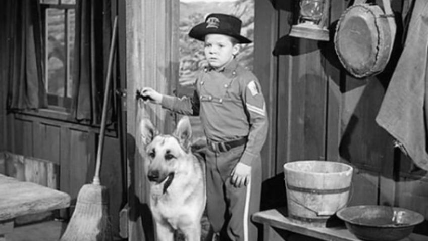 Muere a los 77 años Lee Aaker, estrella infantil de “Rin Tin Tin"; nadie reclama su cuerpo