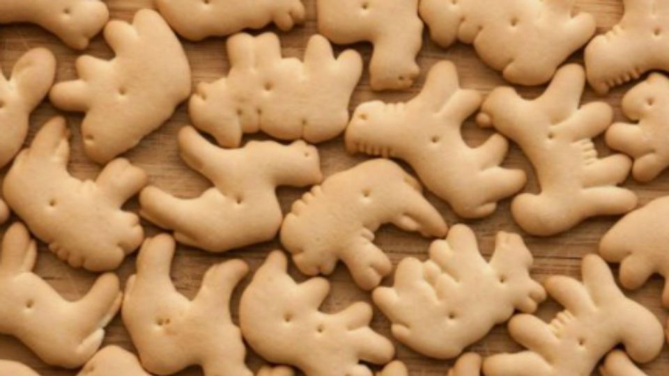 Veganos piden prohibir galletas con forma de animalitos. Foto: Pinterest