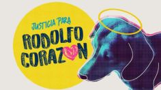 Mascotas se unen a #RodolfoCorazón; movimiento busca justicia para perrito asesinado en Sinaloa I FOTOS