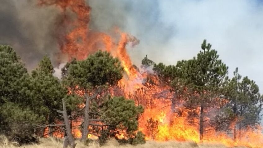 Helicóptero de la Guardia Nacional se une a los esfuerzos para combatir incendio forestal en Michoacán