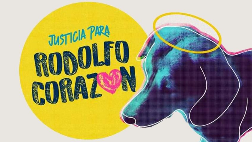 Mascotas se unen a #RodolfoCorazón; movimiento busca justicia para perrito asesinado en Sinaloa I FOTOS