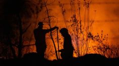 ¿Qué puedo hacer si quedo atrapado en un incendio forestal?