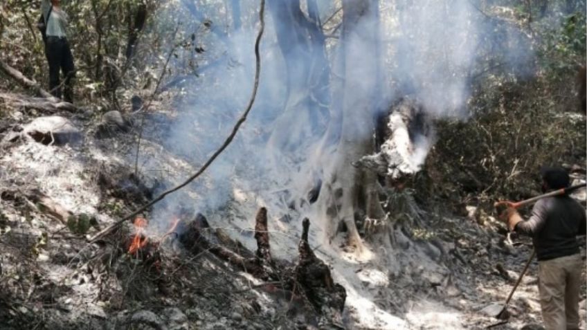 Se reportan 92 incendios forestales en el país, uno de estos en Morelos