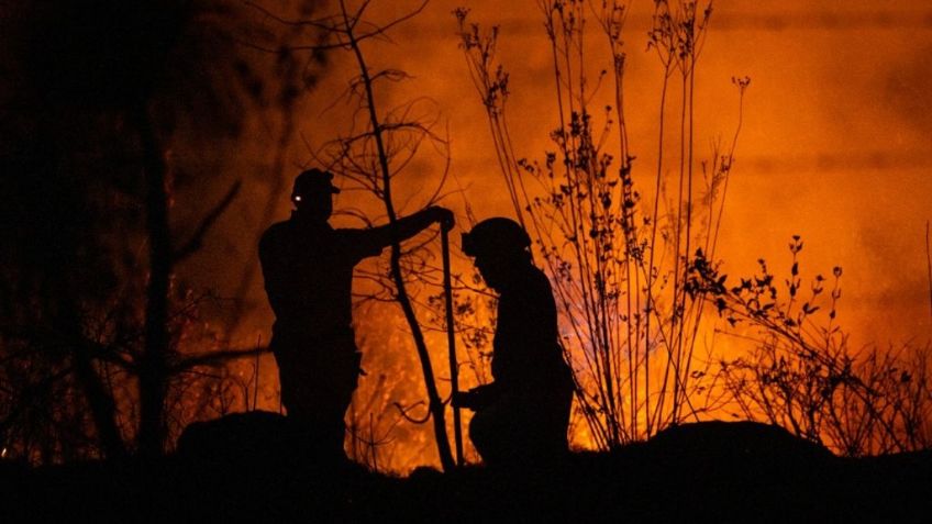 Incendios forestales en Michoacán han consumido más de 6 mil hectáreas de bosques