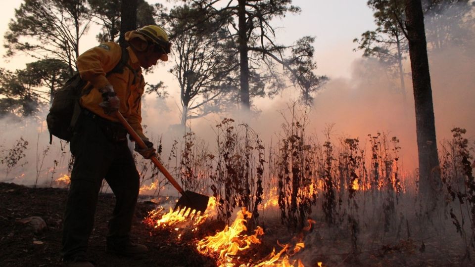 CHILPANCINGO. Habitantes de Llanos de Tepoxtepec cumplieron cuatro días intentando controlar dos incendios. Foto: Cuartoscuro