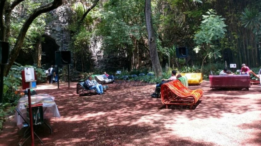 ¿Espacio para leer? Estos son los JARDINES OCULTOS en la CDMX que disfrutarás por su tranquilidad