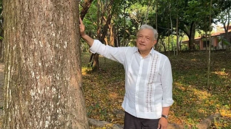 Andrés Manuel López Obrador, presidente de México. Foto: Especial