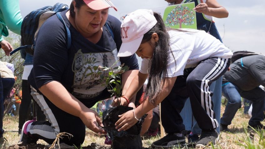 Se requieren mil 400 millones de dólares para llevar Sembrando Vida a Centroamérica