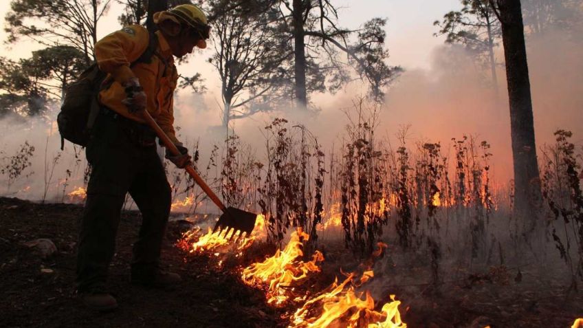 Formalizan declaratoria de desastre natural por incendios en Nuevo León