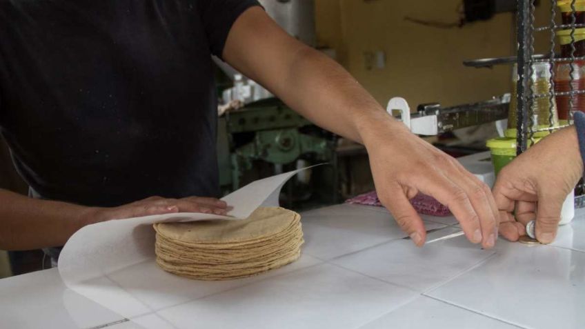 ¿Cómo ha cambiado el valor de la tortilla desde los 90?