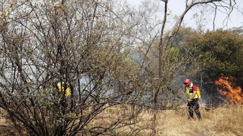 Registran fuerte incendio en la Tercera Sección del Bosque de Chapultepec