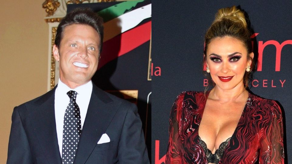 Luis Miguel y Aracely Arámbula tienen dos hijos, Miguel y Daniel, de 14 y 12 años de edad, respectivamente. Foto: Especial