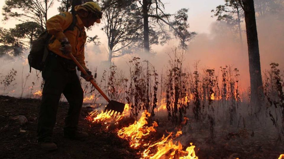 Se solicitó que esta zona fue considerada en emergencia