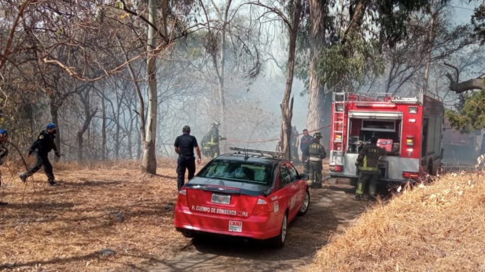 Se investigan las causas del origen del siniestro. Foto: Secretaría de Medio Ambiente