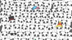 RETO VISUAL: Encuentra al oso polar entre los pandas y demuestra tu agilidad mental