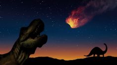 Origen de las selvas tropicales derivó del impacto del asteroide que mató a los dinosaurios