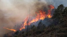 Castigarán a quienes hagan fogatas en la Sierra de Coahuila; estas son las multas