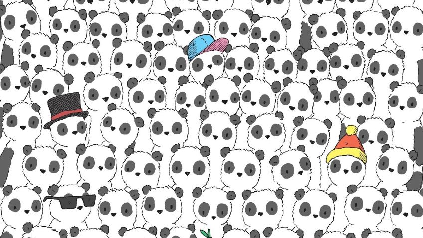 RETO VISUAL: Encuentra al oso polar entre los pandas y demuestra tu agilidad mental