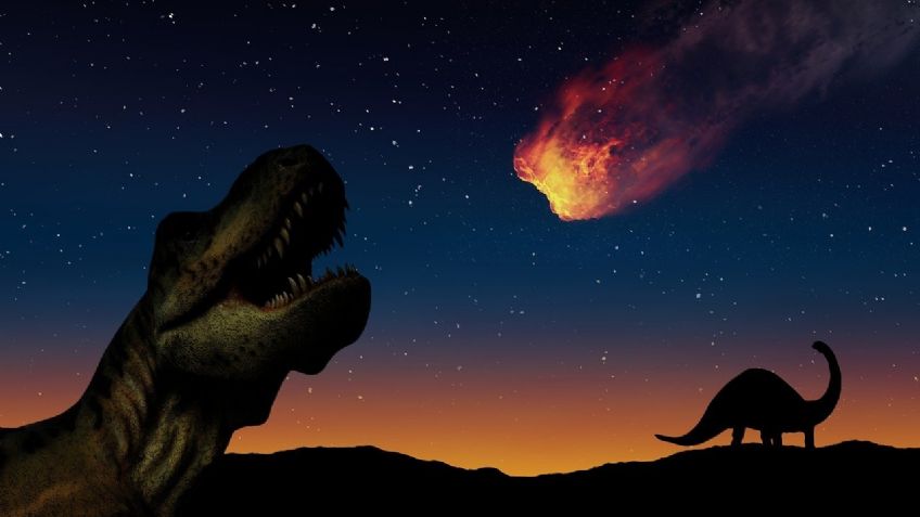 Origen de las selvas tropicales derivó del impacto del asteroide que mató a los dinosaurios