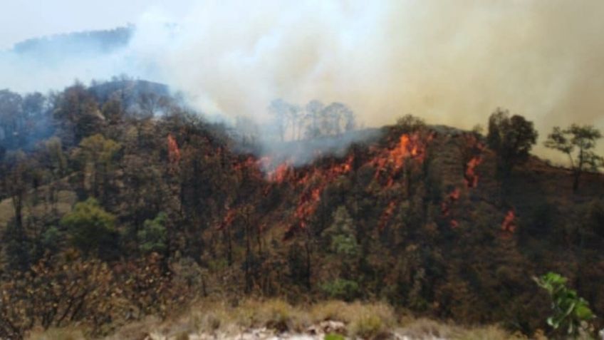 Incendios en Jalisco: ¿Qué hacer y cómo protegerte si llega humo del incendio a tu casa?