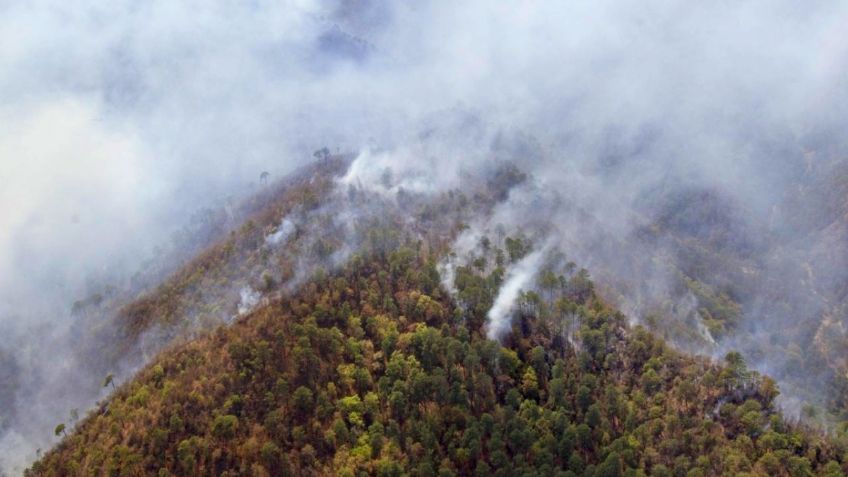 Realizan bombardeo de nubes para extinguir incendio forestal en Nuevo León