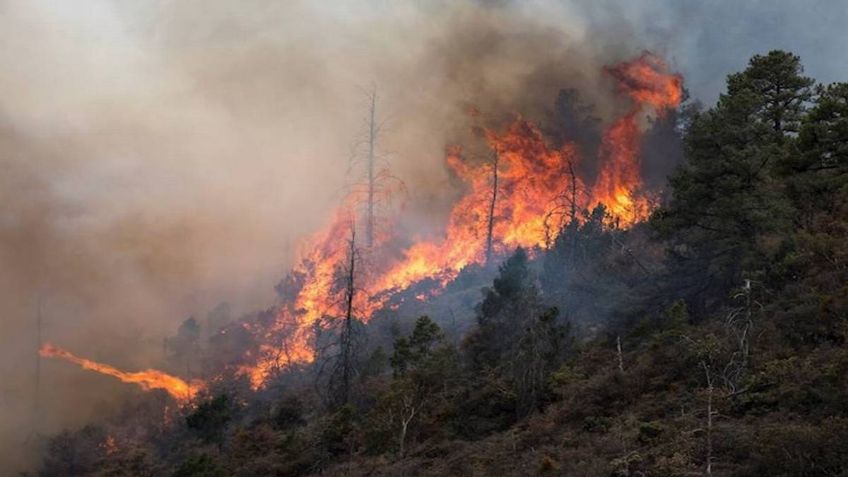 Castigarán a quienes hagan fogatas en la Sierra de Coahuila; estas son las multas