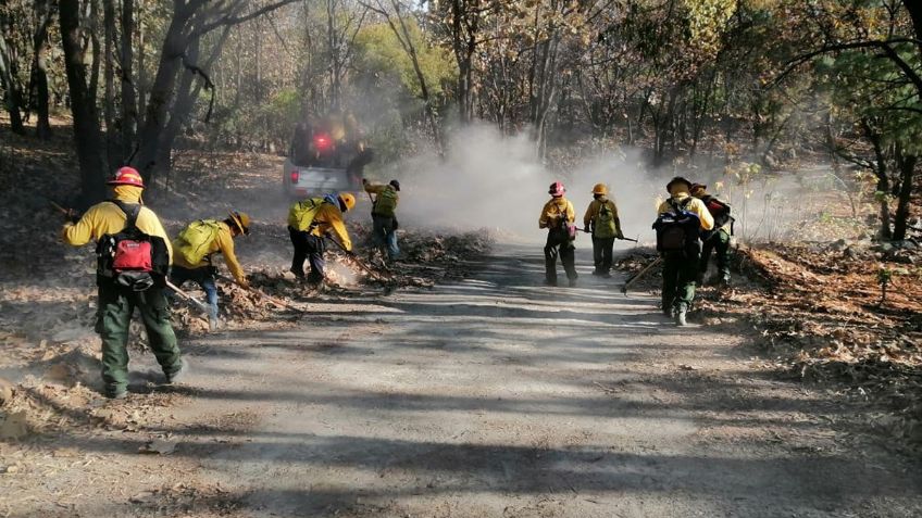 Jalisco: Medio millar de brigadistas intenta sofocar incendio en Bosque de la Primavera