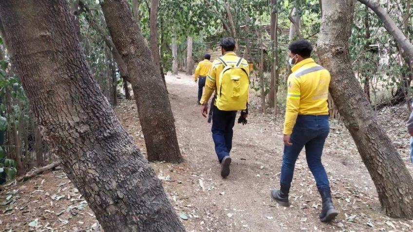 SEDEMA inicia operativo para evitar incendios en Áreas Naturales Protegidas