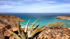 Baja California Sur: Estos son sus INCREÍBLES Pueblos Mágicos | FOTOS