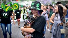 Así fue como el 4/20 se convirtió en emblema de la marihuana en el mundo