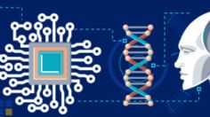 Desarrollan herramienta para diseñar mini robots de ADN que entrarían al cuerpo humano