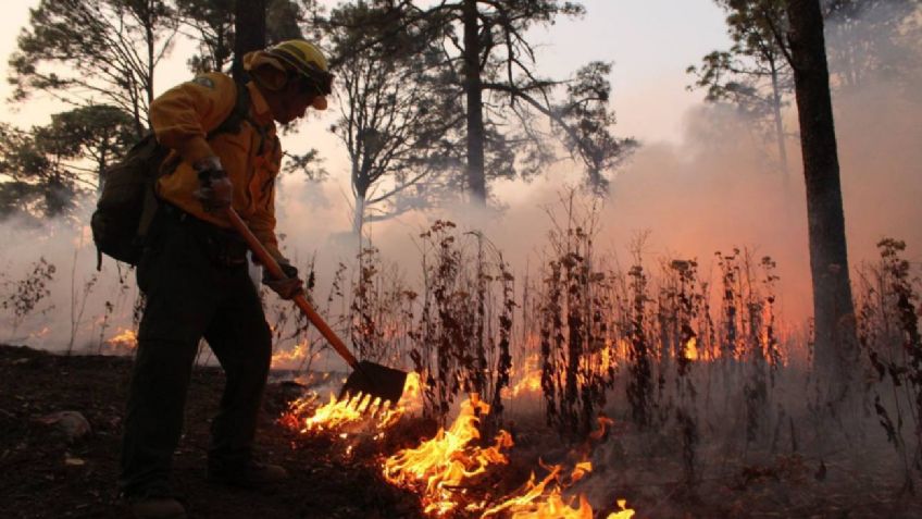 Ven zona de desastre en Nuevo León por incendios