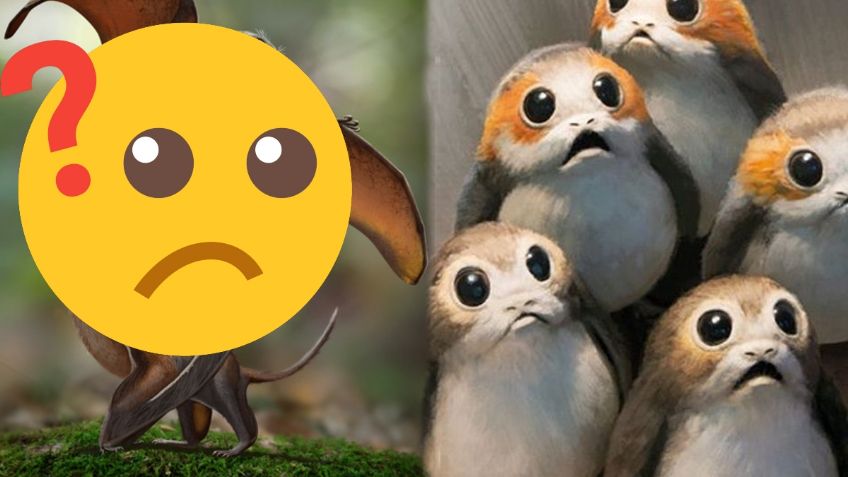 Los DINOSAURIOS inspiraron Star Wars, encuentran a un peculiar animal IDÉNTICO a los "Porgs"