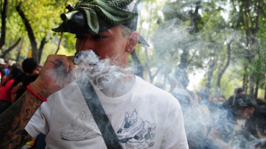 420: Con fumaton en el Senado conmemoran día Mundial del Cannabis