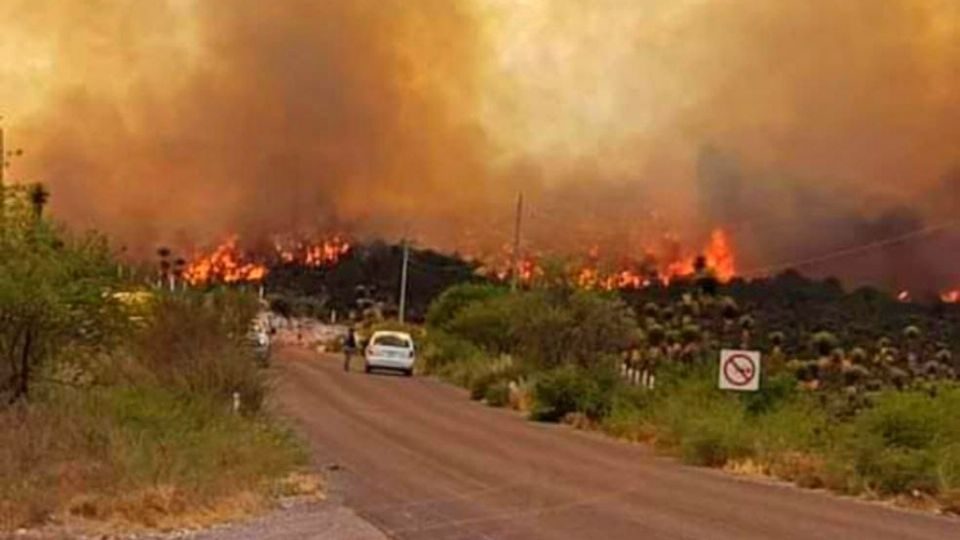 Incontrolable incendio forestal en Tamaulipas.