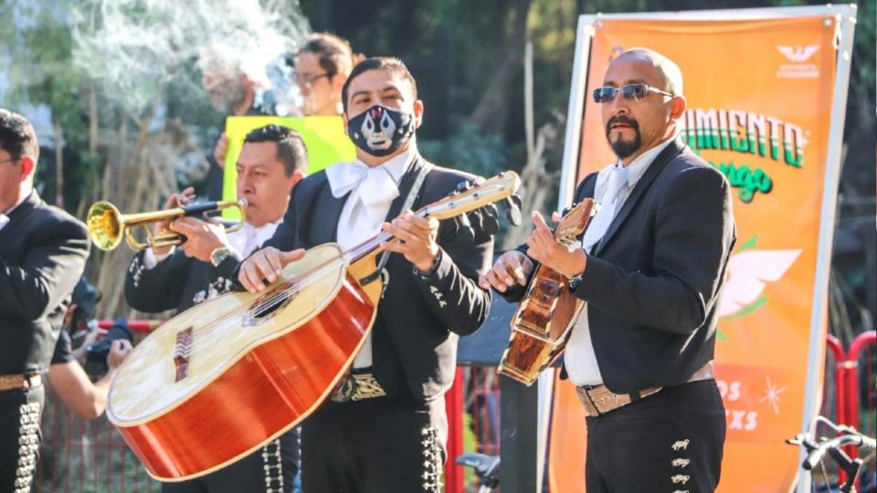 Es un tema de libertades en la que seguiremos insistiendo porque va más allá de la seguridad Foto: Especial