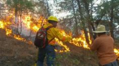 Incendios forestales agobian a la capital