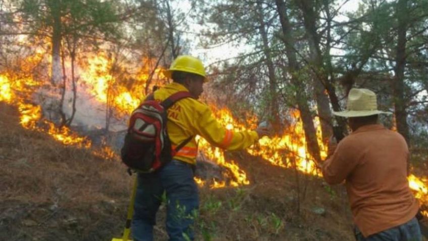 Incendios forestales agobian a la capital