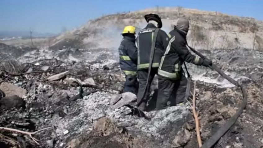 Aves se quedan sin casas a consecuencia de los incendios forestales en Jalisco