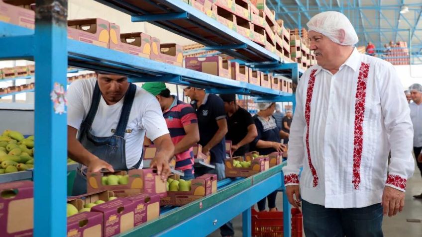 México rompe récord en exportaciones agroalimentarias