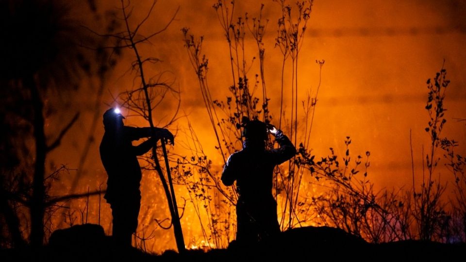 Durante el mes de enero, más de 6 mil hectáreas forestales fueron consumidas por los incendios. Foto: Especial