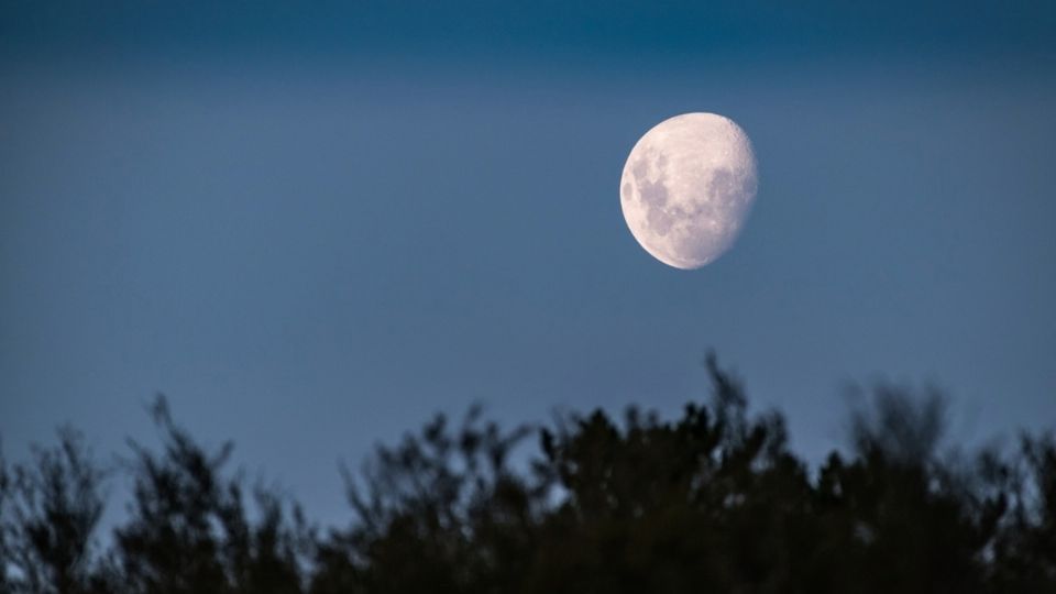 La Luna tuvo oposición a Saturno en Acuario durante esta madrugada. FOTO: Pixabay