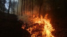 Jalisco: Nuevo incendio en el Bosque La Primavera causa alerta: VIDEO